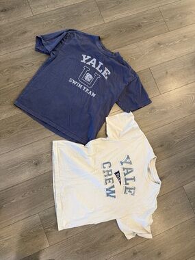 American Eagle Outfitters Yale Swim & Crew Graphic Tees — Navy and White